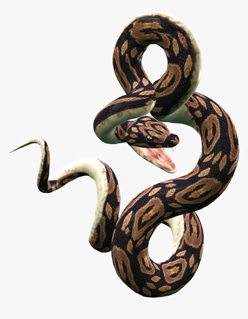 Viper Snake Png Image - Snake Png, Transparent Png, Free Download