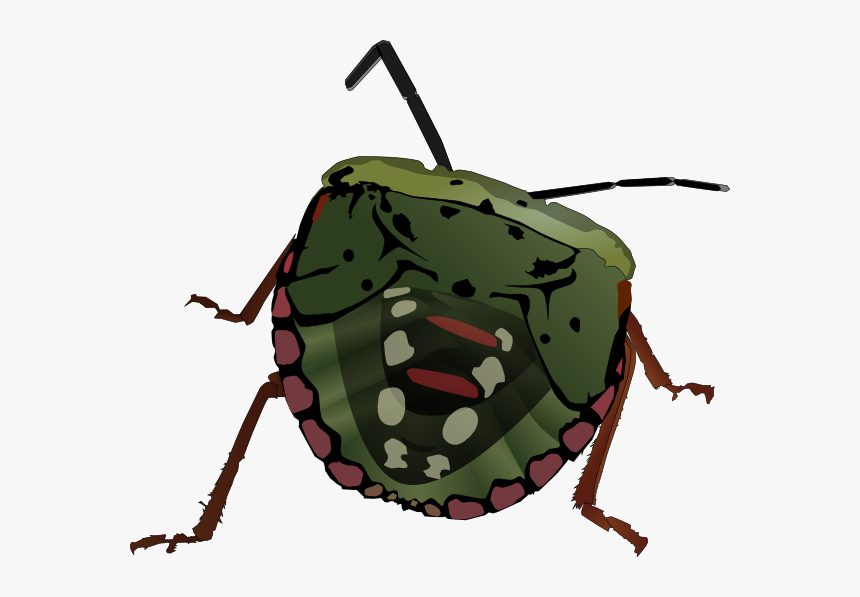 Bugs Vector Animated - Bug Clip Art, HD Png Download, Free Download