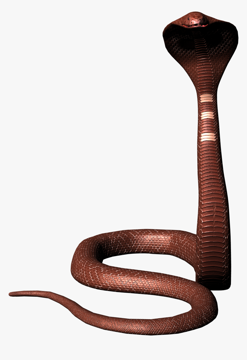 Viper Snake Png Image Background - Mahadev Snake Png, Transparent Png, Free Download