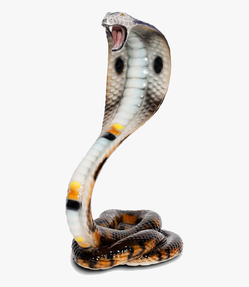 Indian Cobra, HD Png Download, Free Download