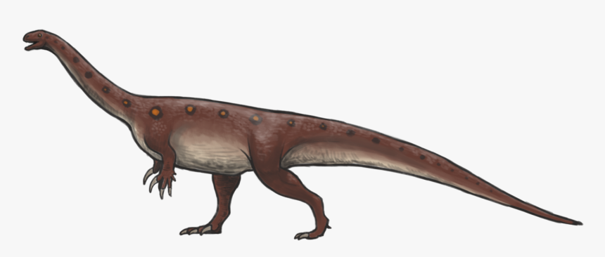 Massospondylus Reconstruction - Massospondylus, HD Png Download, Free Download