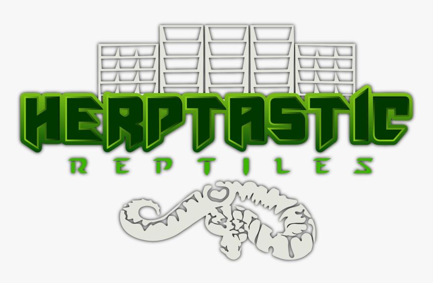 Herptastic - Python, HD Png Download, Free Download