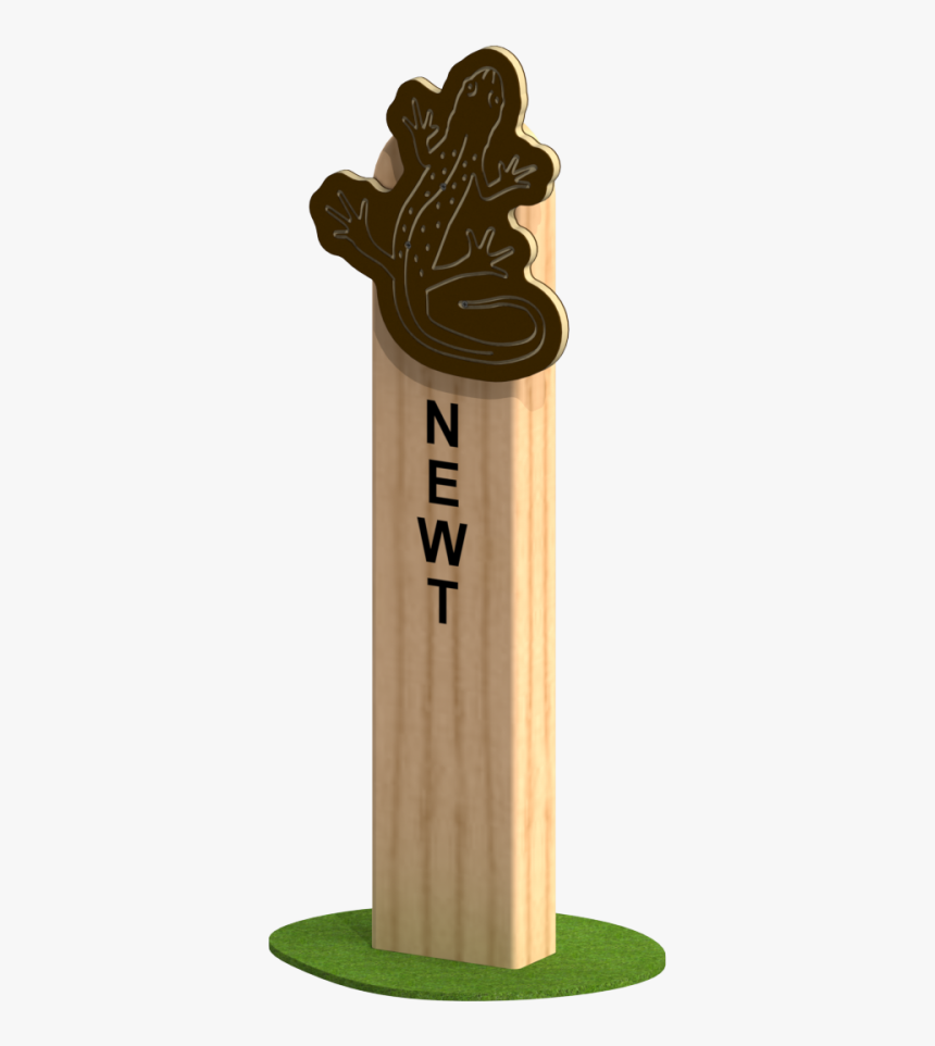 Newt - Wood - Wood, HD Png Download, Free Download