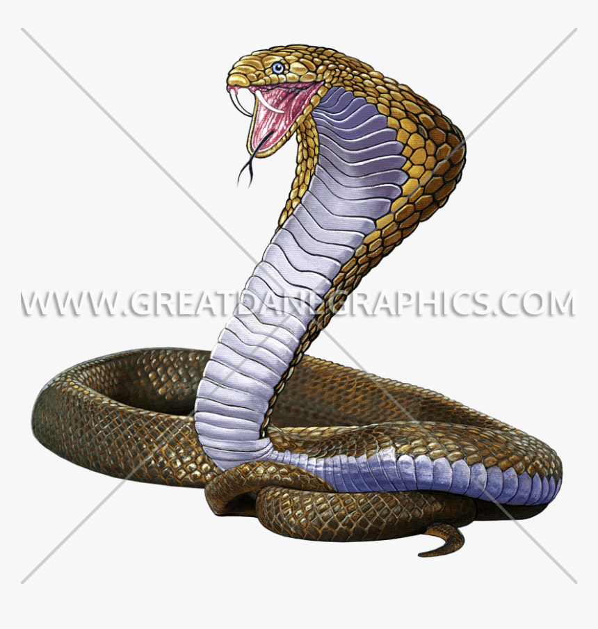 Indian Cobra, HD Png Download, Free Download