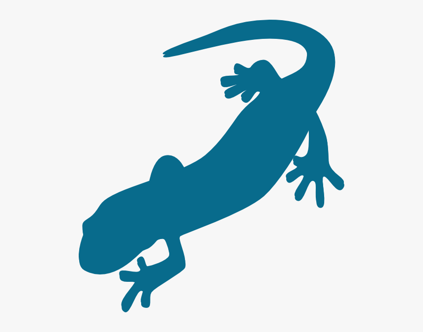 Salamander Clip Art, HD Png Download, Free Download