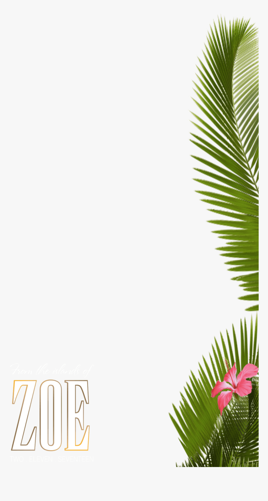 Transparent Snapchat - Palm Tree Filter Png, Png Download, Free Download
