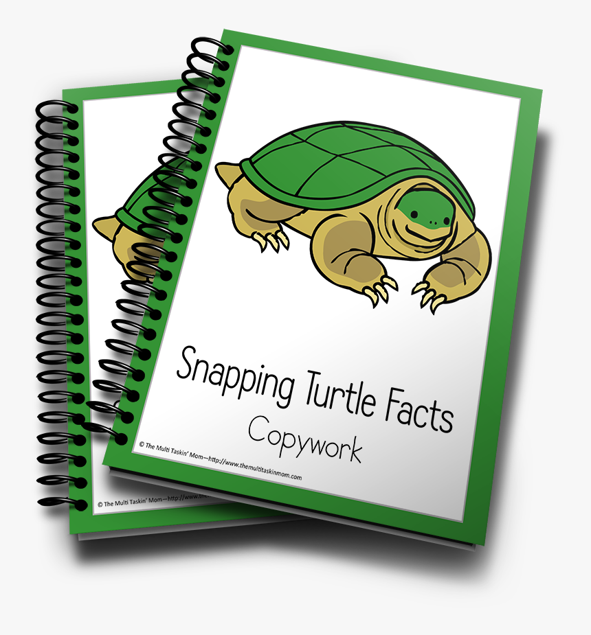 Snapping Turtle Color And Copywork - Caderno Do Neymar Tilibra, HD Png Download, Free Download