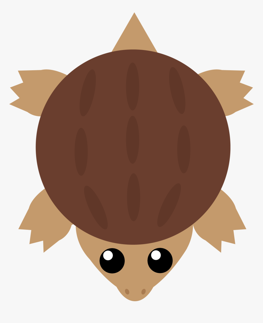 Transparent Turtle Cartoon Png - Cartoon Snapping Turtle, Png Download, Free Download