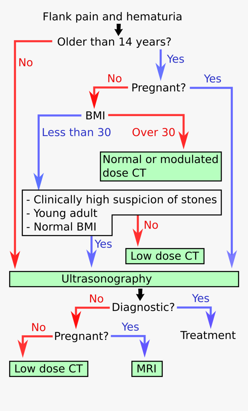 Algorithm For Kidney Stone Disease - Kidney Stone Size Cutoffs, HD Png Download, Free Download