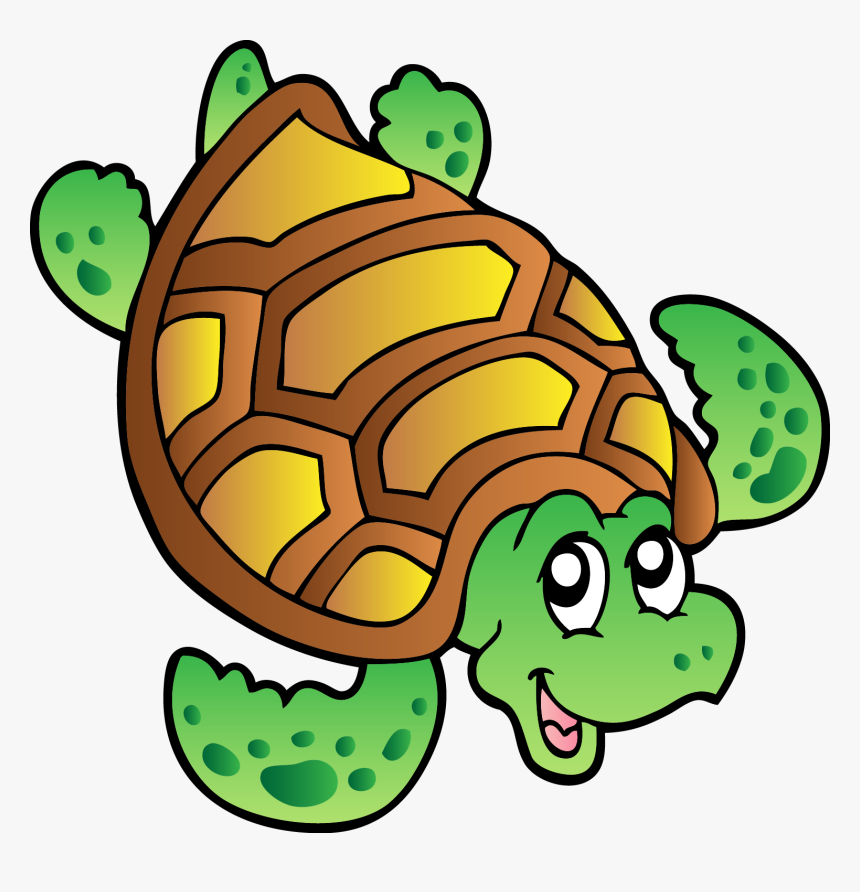 Turtle Sea Clip Art - Draw Sea Turtle Cartoon, HD Png Download, Free Download