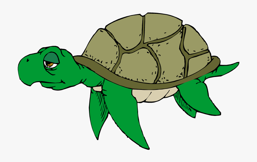 Sad Sea Turtle Clipart, HD Png Download, Free Download