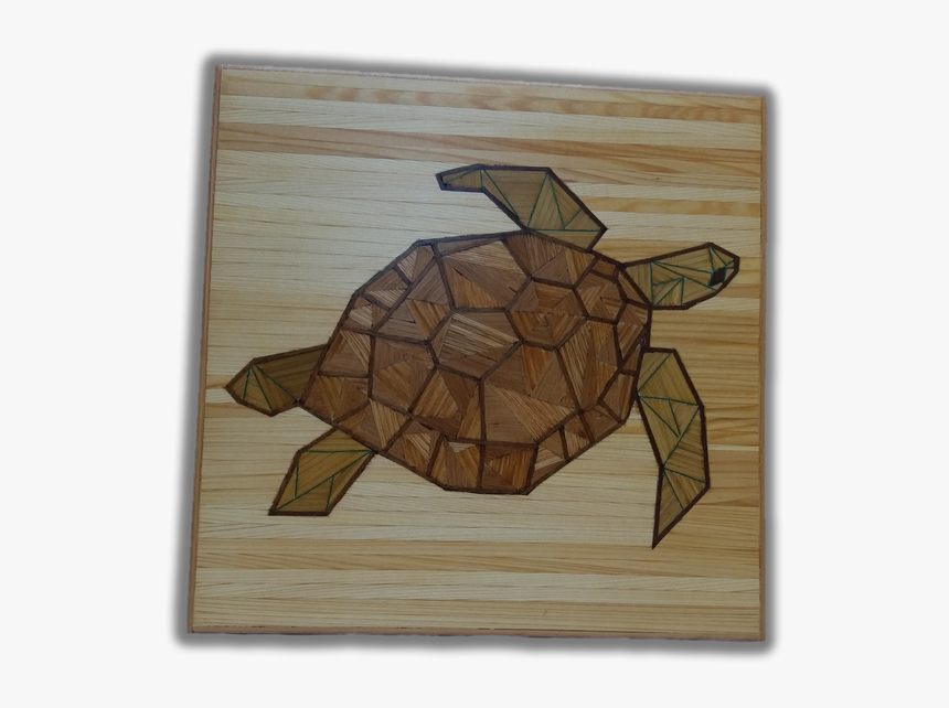 A-turtle - Desert Tortoise, HD Png Download, Free Download