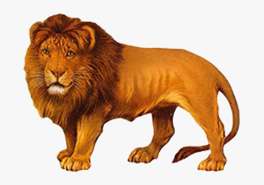 Lion Painting Png, Transparent Png, Free Download