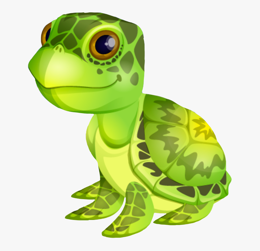 Transparent Tortoise Clipart - Animo Momio, HD Png Download, Free Download