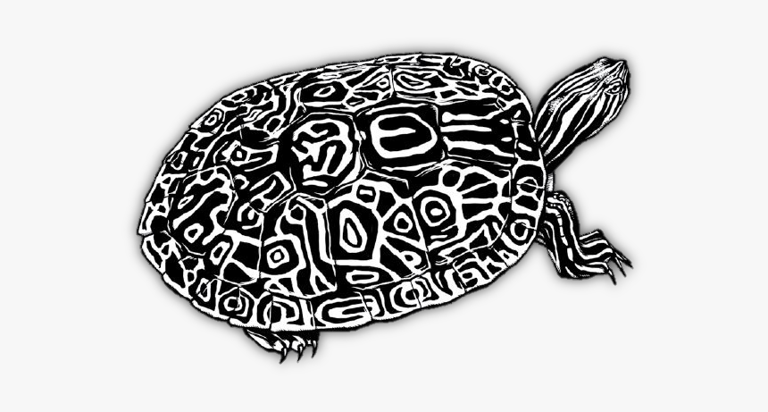 Watrivcootbw - Png Turtle Black And White, Transparent Png, Free Download