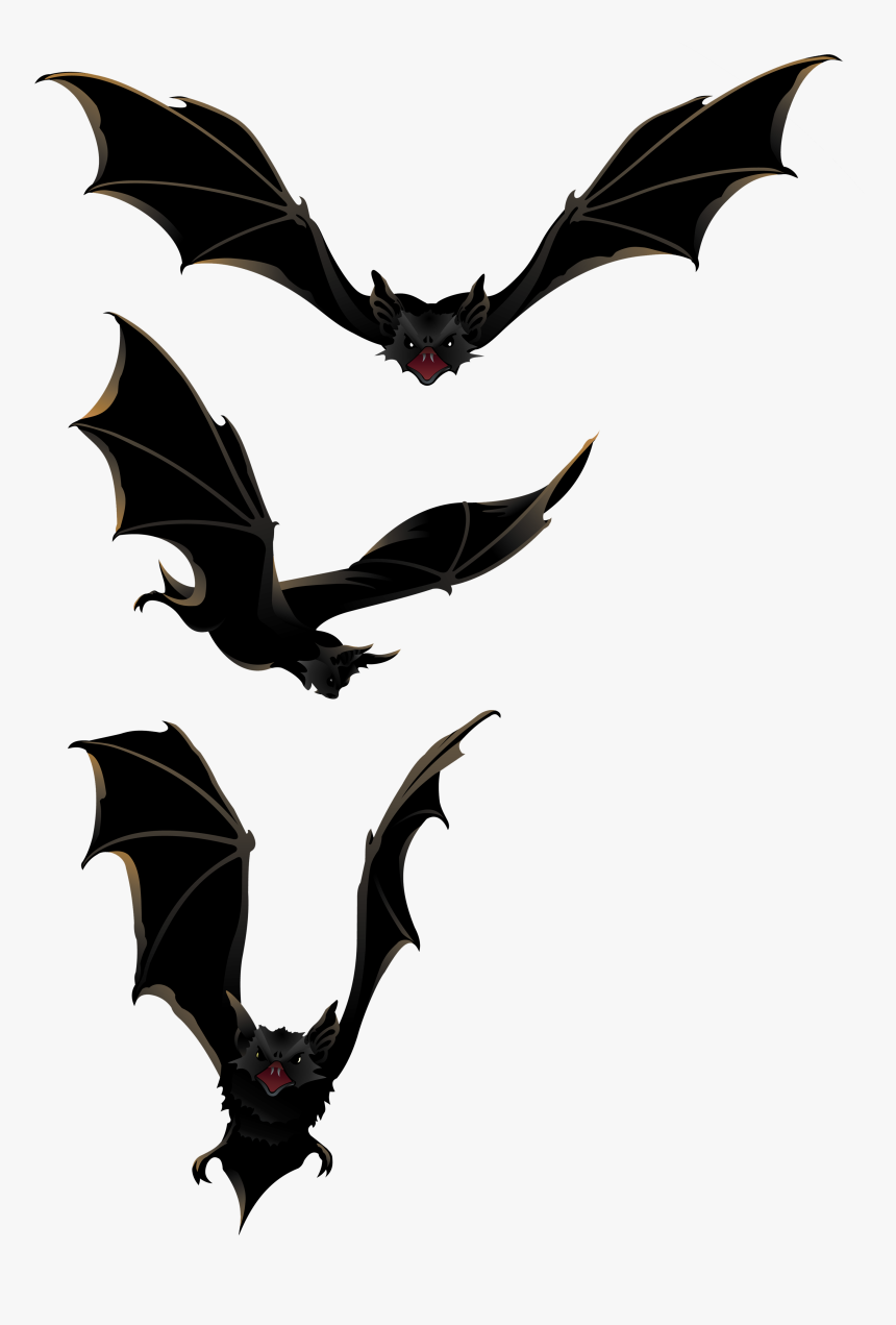 Bats - Clipart Library - Bats Clipart, HD Png Download, Free Download