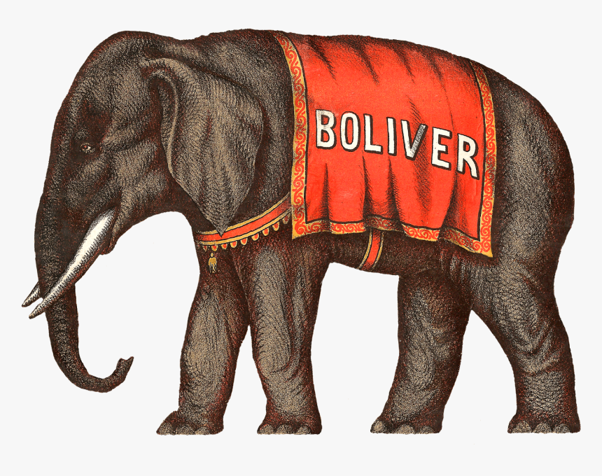 Elephant Png - Vintage Circus Elephant Illustration, Transparent Png, Free Download