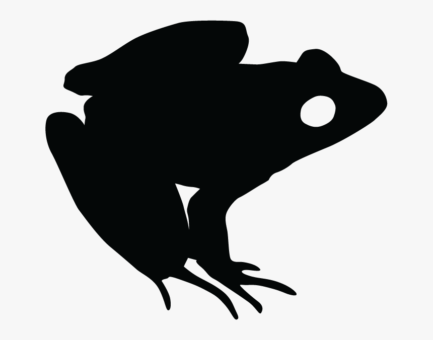 Northern Leopard Frog Silhouette Png, Transparent Png, Free Download