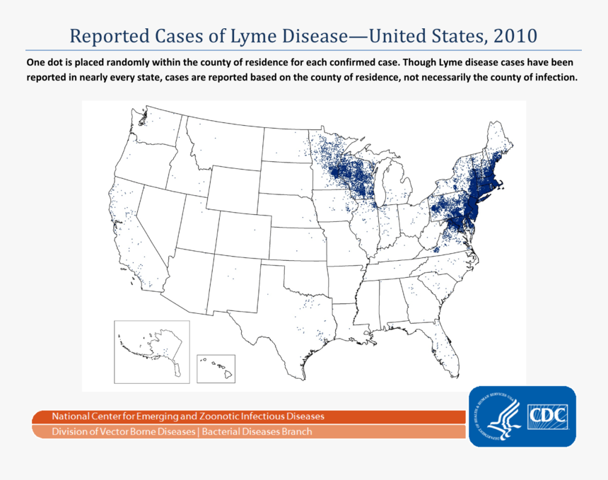 Reported Cases Of Lyme Disease 2010 - Reported Cases Of Lyme Disease, HD Png Download, Free Download