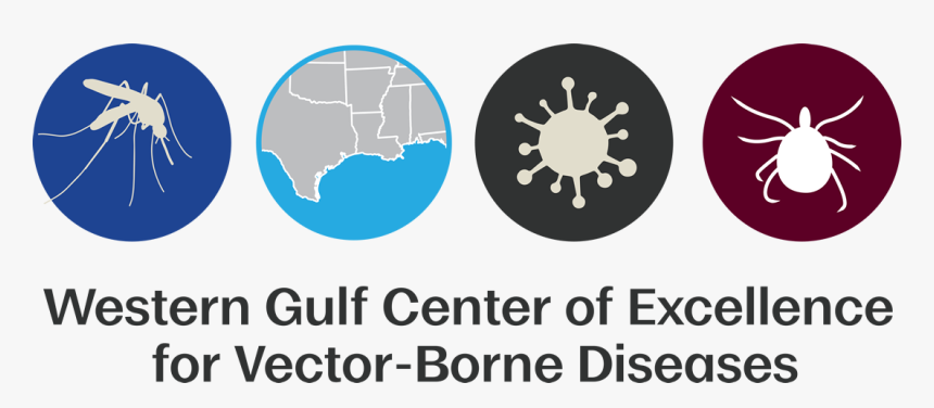 Western Gulf Center Of Excellence For Vector-borne - Circle, HD Png Download, Free Download