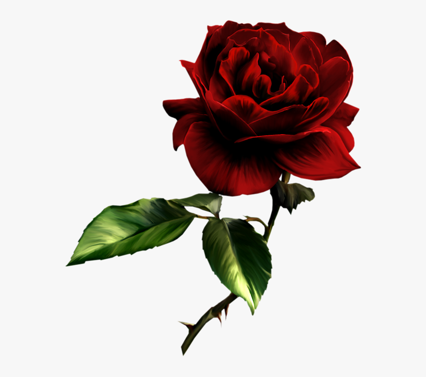 Beautiful Clipart Red Rose - Deep Red Rose Png, Transparent Png, Free Download