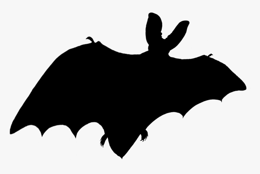 Halloween Bat With Red Eyes Png - Bat Shadow Png, Transparent Png, Free Download