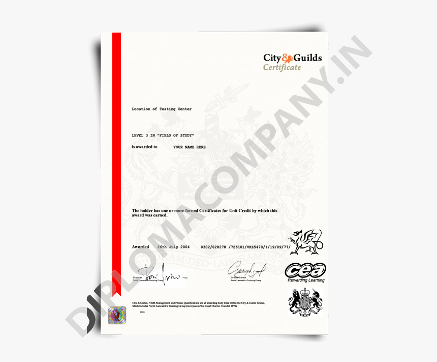 Fake City And Guilds Certificate, Fake City And Guilds - Welsh Government, HD Png Download, Free Download