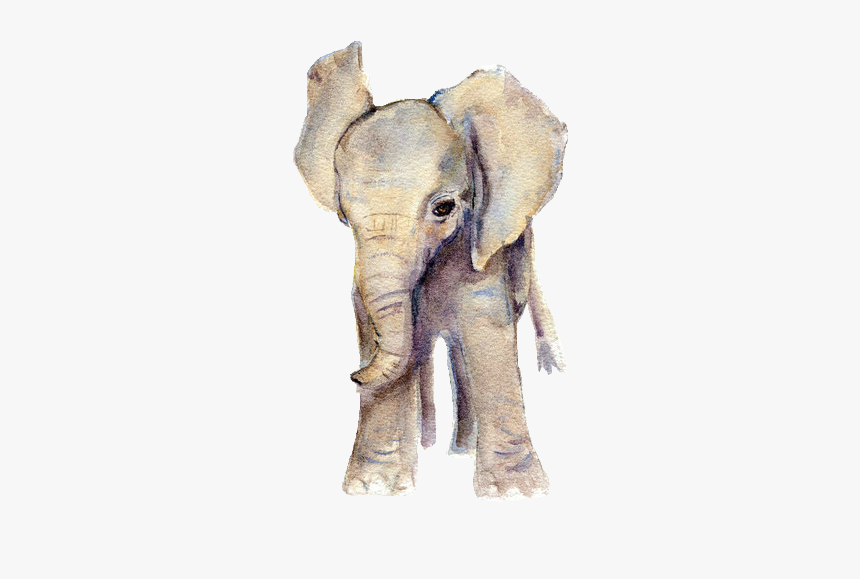 Thumb Image - Baby Animals Watercolor Png, Transparent Png, Free Download