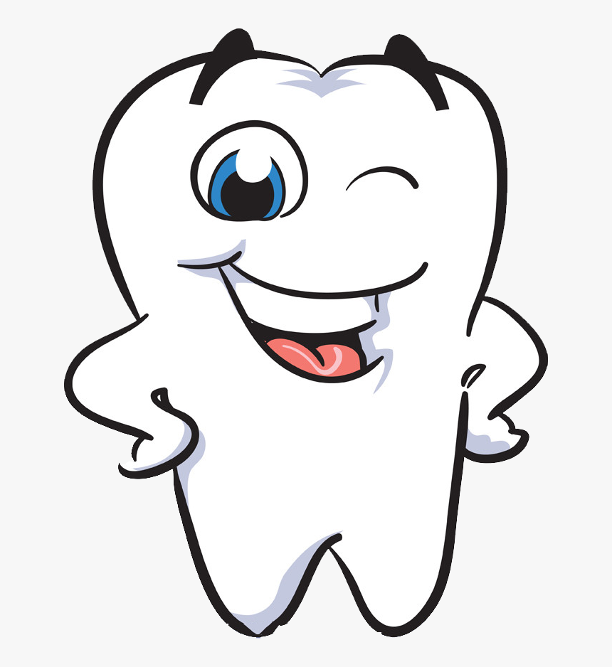 Human Dentistry Clip Art - Tooth Clipart No Background, HD Png Download, Free Download