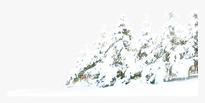 Snow Png Hd Transparent Background - Transparent Background Snow Png, Png Download, Free Download