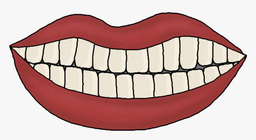 Cartoon Pictures Of Teeth - Teeth Template For Preschool, HD Png Download, Free Download