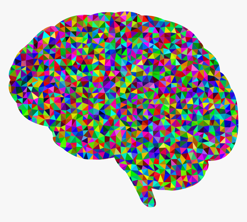 Brain Clip Art Transparent - Brain Colorful No Background, HD Png Download, Free Download