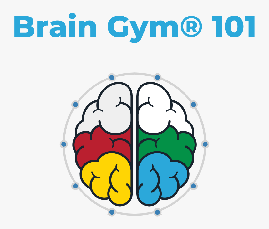 Optimal Brain Organization Clipart , Png Download - Brain Gym 101, Transparent Png, Free Download