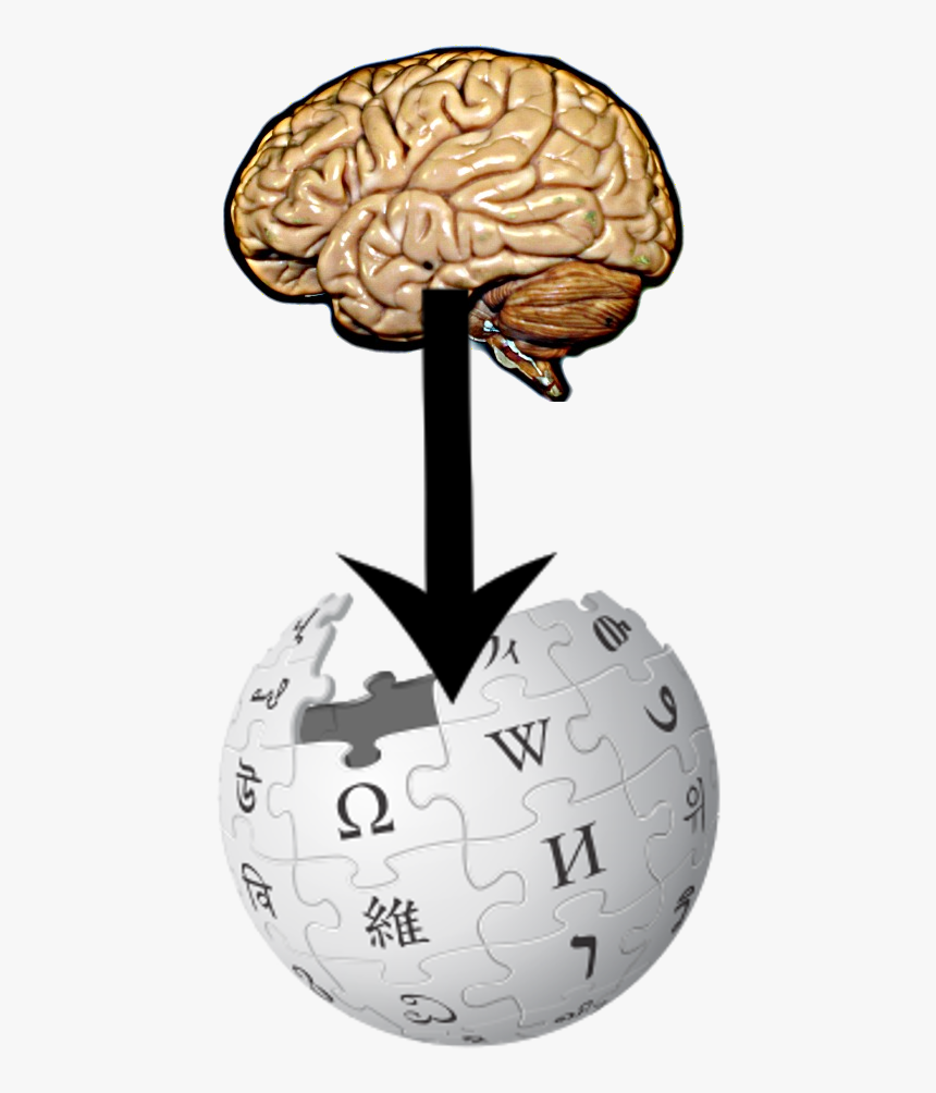 From Brain To Wikipedia - Wikipedia Logo, HD Png Download, Free Download