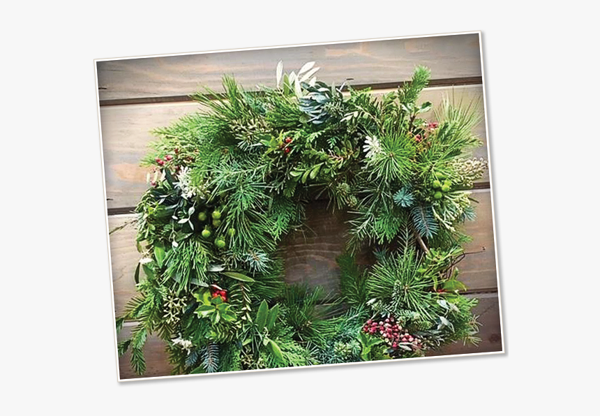 Image Of A Holiday Wreath - Wreath, HD Png Download, Free Download