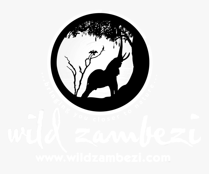 Silhouette, HD Png Download, Free Download