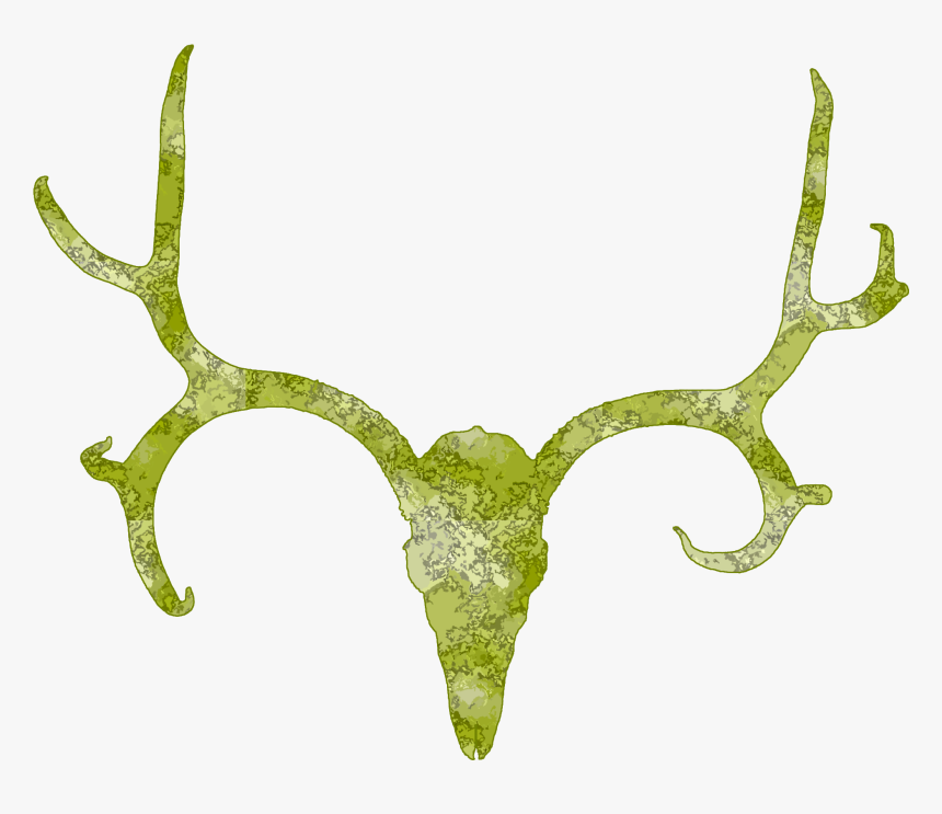 Skull Antlers Cliparts - Deer, HD Png Download, Free Download