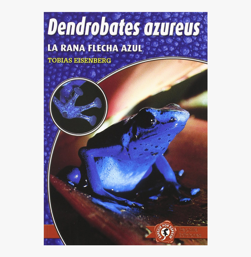 Dendrobates Azureus - Phyllobates, HD Png Download, Free Download