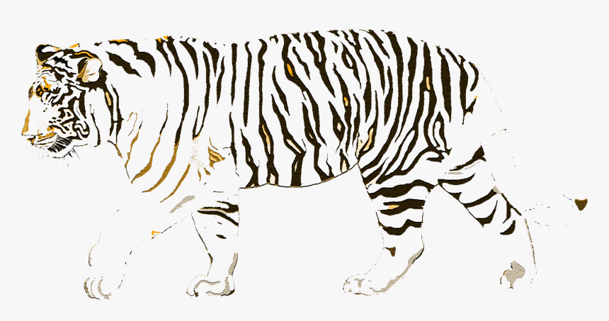 Siberian Tiger Cartoon, HD Png Download, Free Download