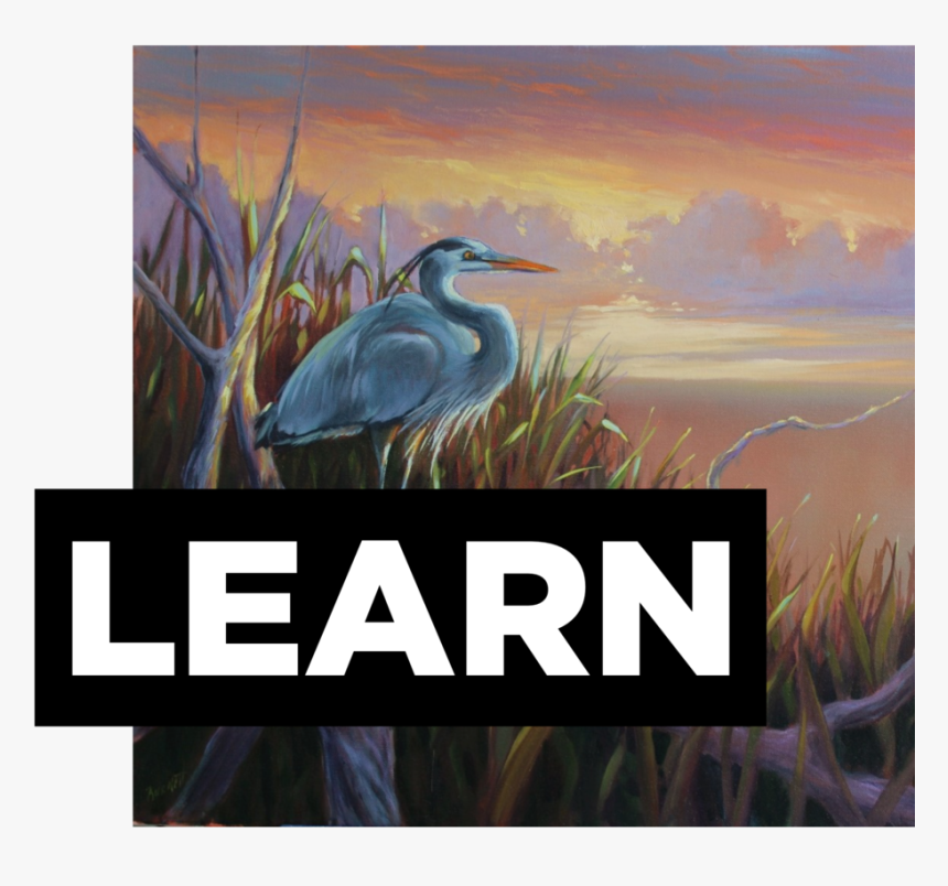 Learns, HD Png Download, Free Download