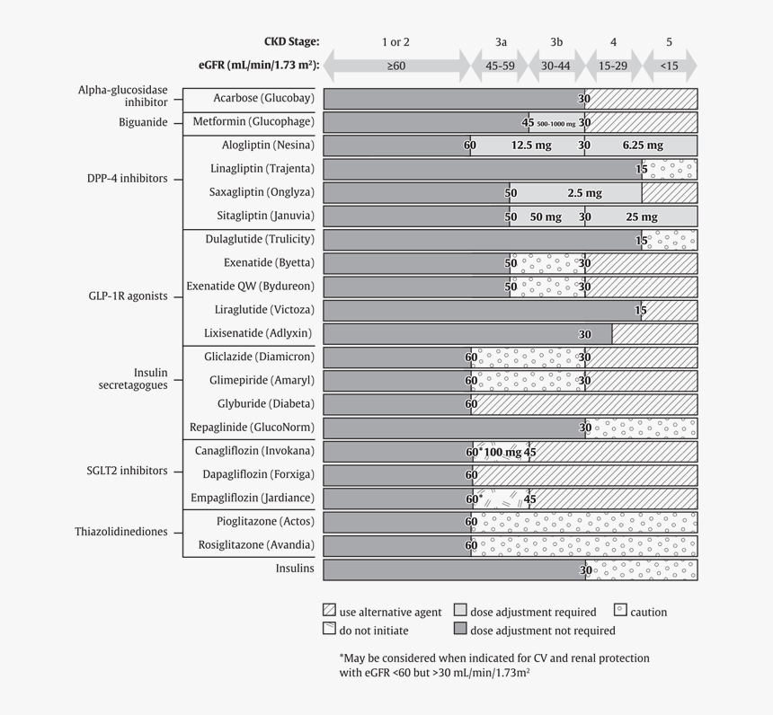 Diabetes Medications Renal Function Chart, HD Png Download, Free Download