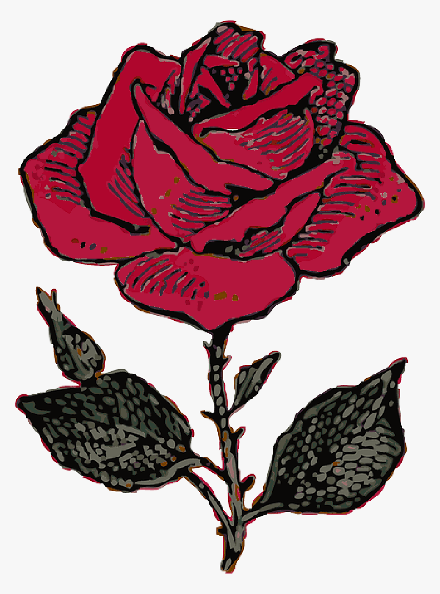 Rose Illustration , Png Download - Blue Rose Drawing Png, Transparent Png, Free Download
