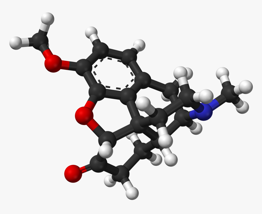 Hydrocodone Spartan Pm3 3d Balls - Hydrocodone Molecule Structure, HD Png Download, Free Download