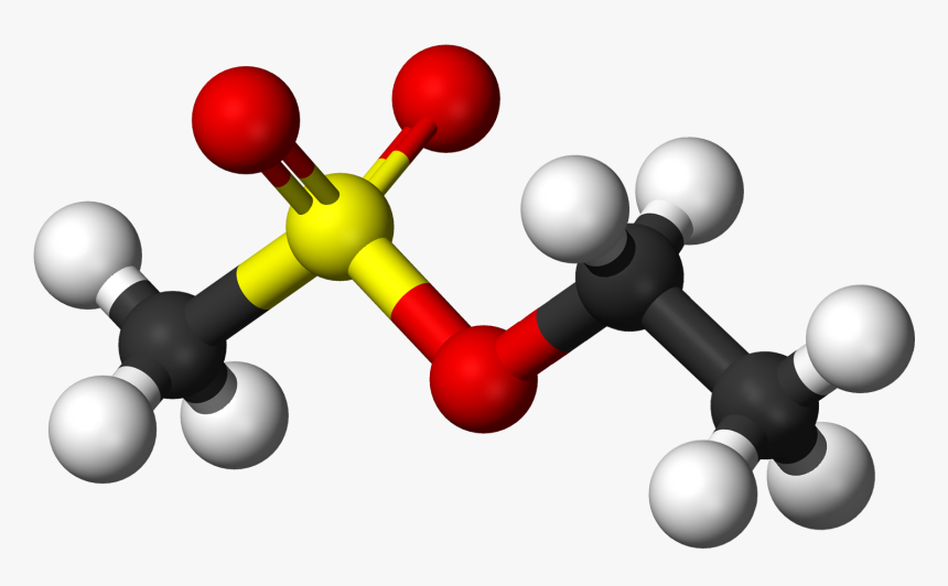 Ethyl Mesylate 3d Balls - Thiols Ball And Stick Models, HD Png Download, Free Download