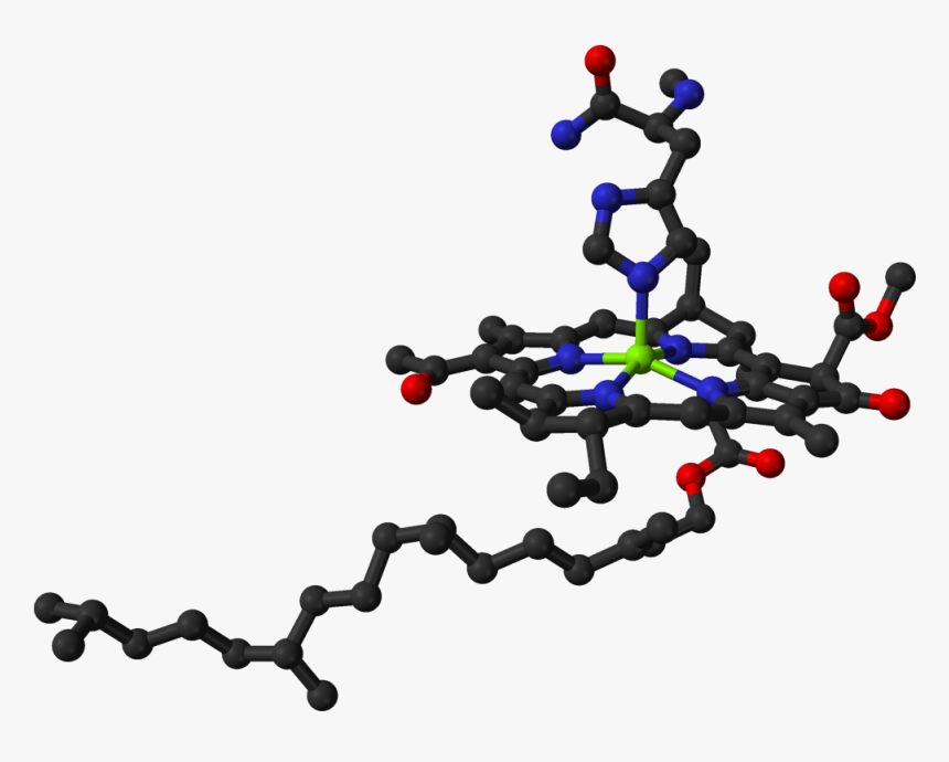 Chlorophyll In Protein 3d Balls - Chlorophyll 3d, HD Png Download, Free Download