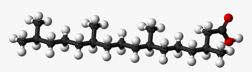 Phytanic Ac - Saturated Fatty Acid 3d Model, HD Png Download, Free Download