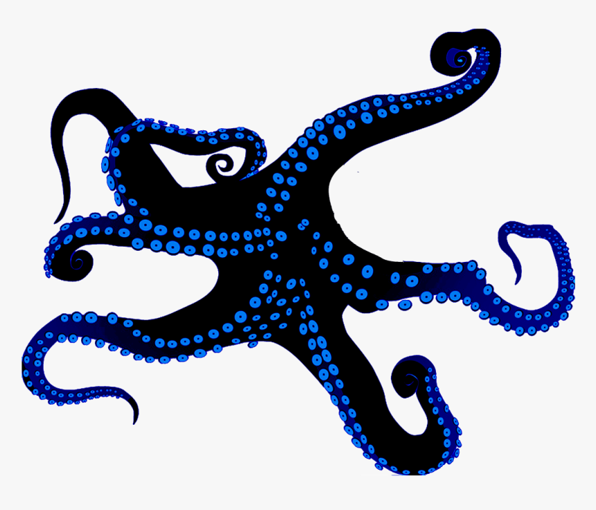 Octopus Clip Art Vector Graphics Euclidean Vector Illustration - Vector Graphics, HD Png Download, Free Download