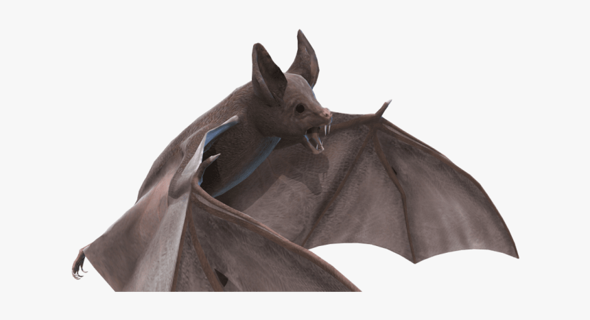 Bat Png, Transparent Png, Free Download