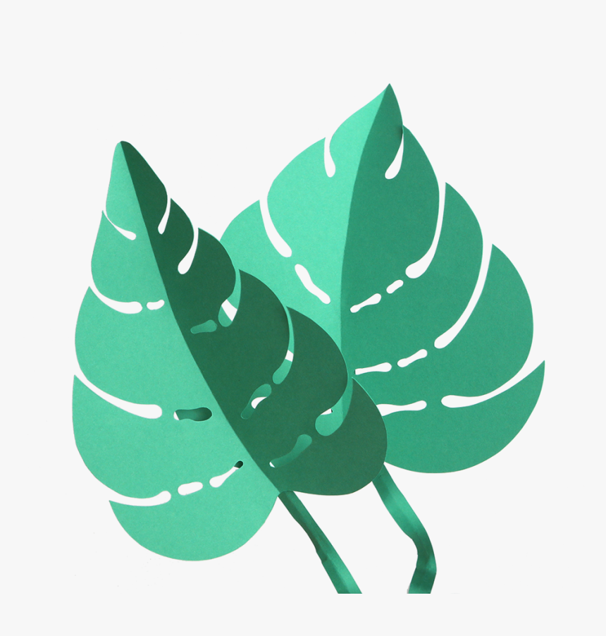 Transparent Leaf Png Tumblr - Illustration, Png Download, Free Download