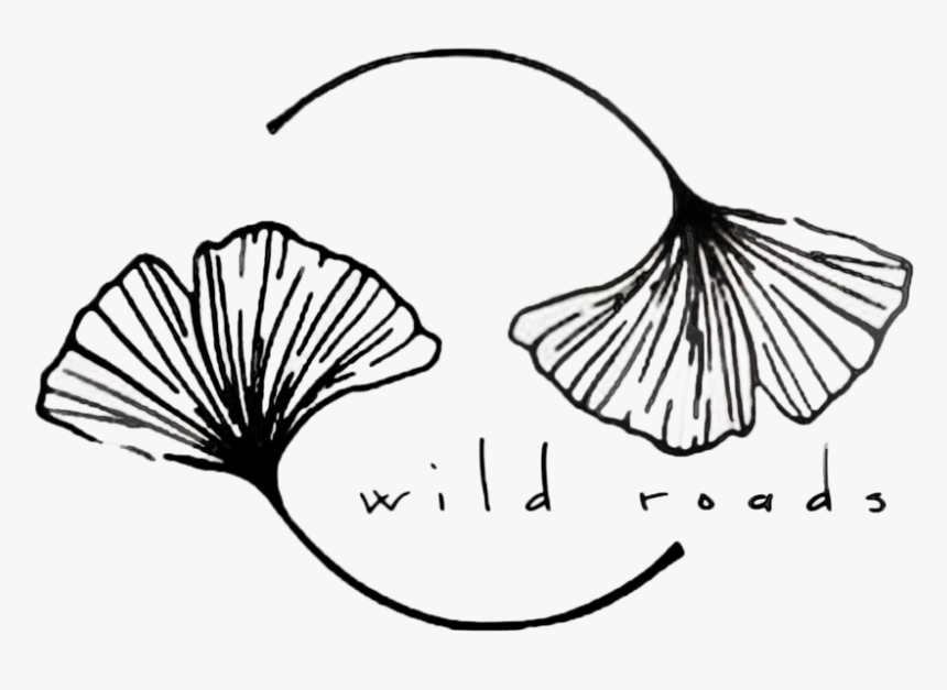 Edc Wild Roads - Drawing, HD Png Download, Free Download